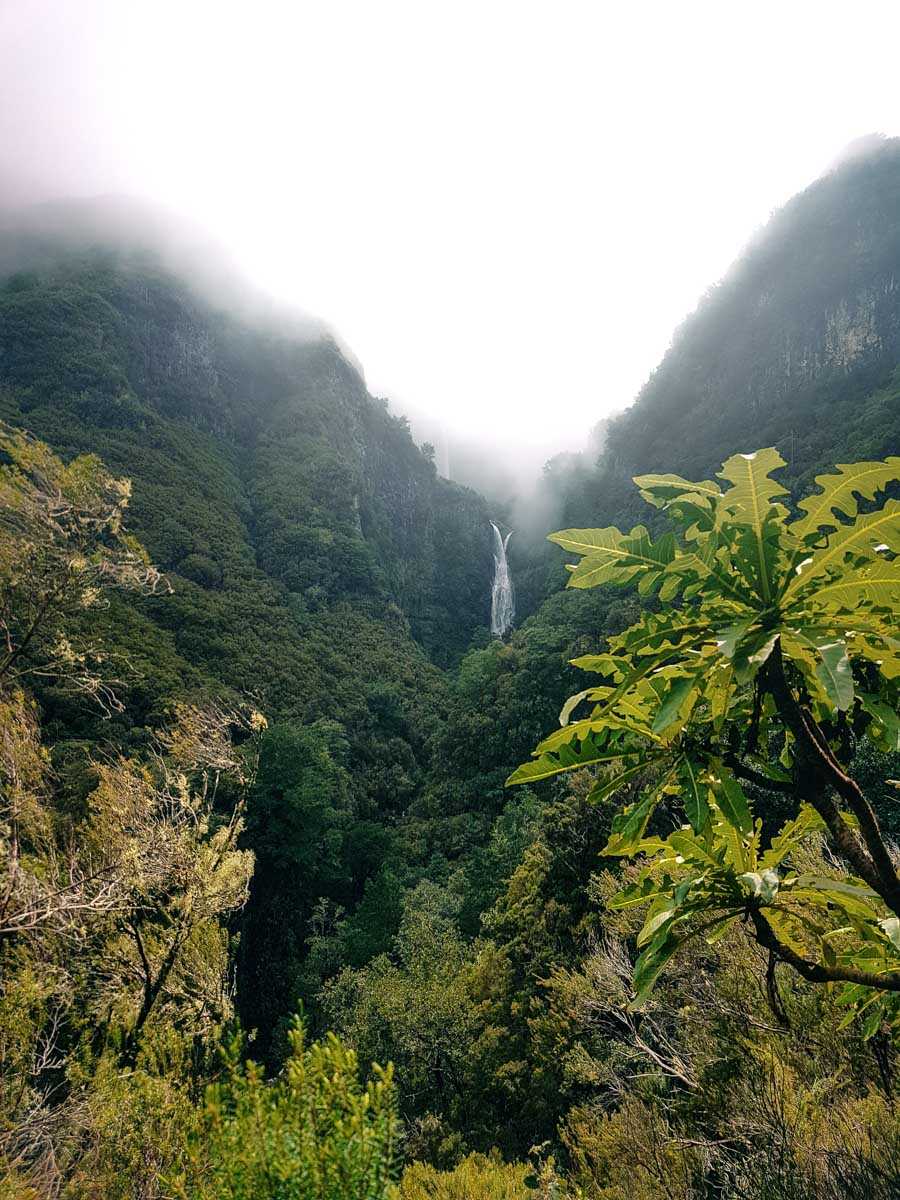 Parco Naturale di Madeira