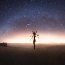 via lattea con palma nel viaggio fotografico tunisia