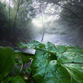 Cascate-del-Volturno